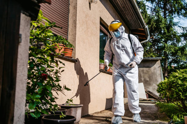 Best Pest Control Treatment  in Watsontown, PA