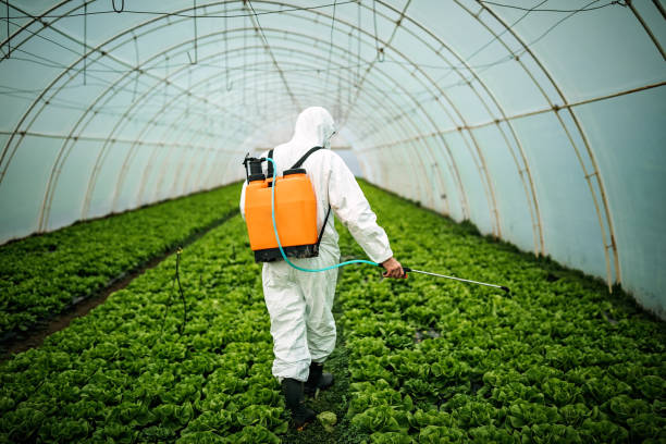 Best Local Pest Control Services  in Watsontown, PA