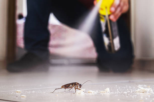 Best Pest Control for Restaurants  in Watsontown, PA