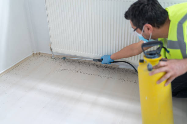 Best Affordable Pest Control Services  in Watsontown, PA