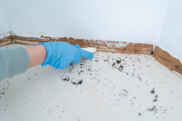 Best Best Pest Control Companies  in Watsontown, PA