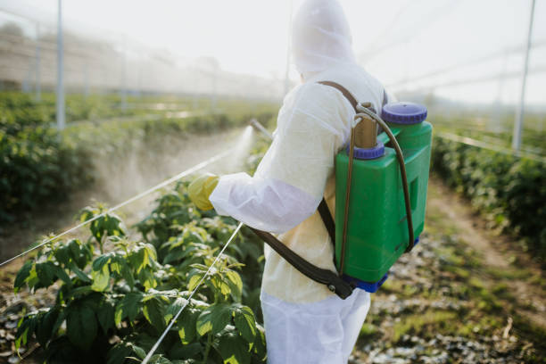 Best Termite Control Services  in Watsontown, PA